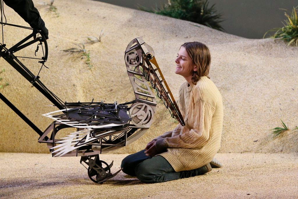 Storm Boy - Queensland Theatre