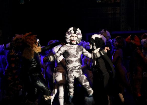 ‘Cats’ – Queensland Musical Theatre