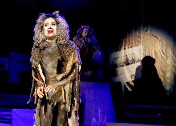 ‘Cats’ – Queensland Musical Theatre 'Cats' - Queensland Musical Theatre
