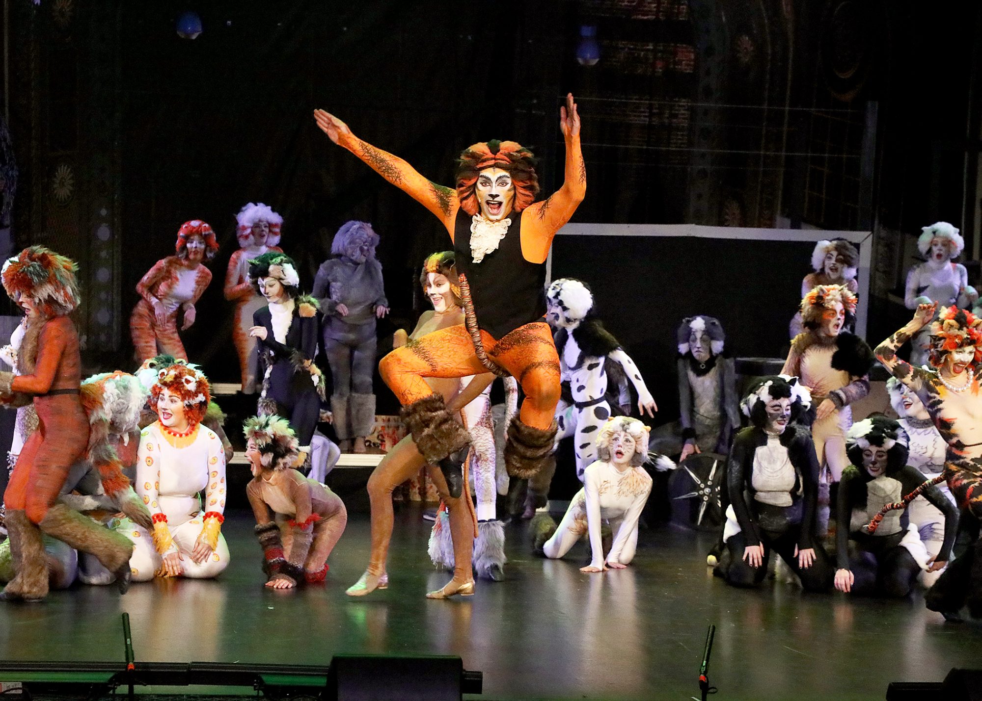 'Cats' - Queensland Musical Theatre