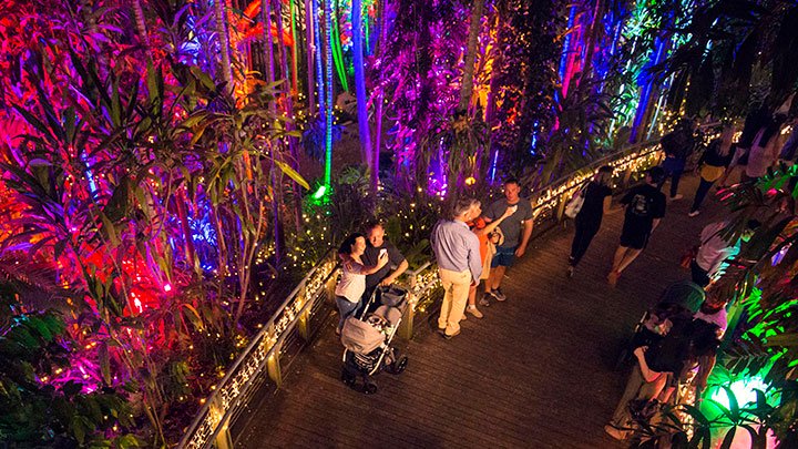 The Enchanted Gardens - Brisbane City Council