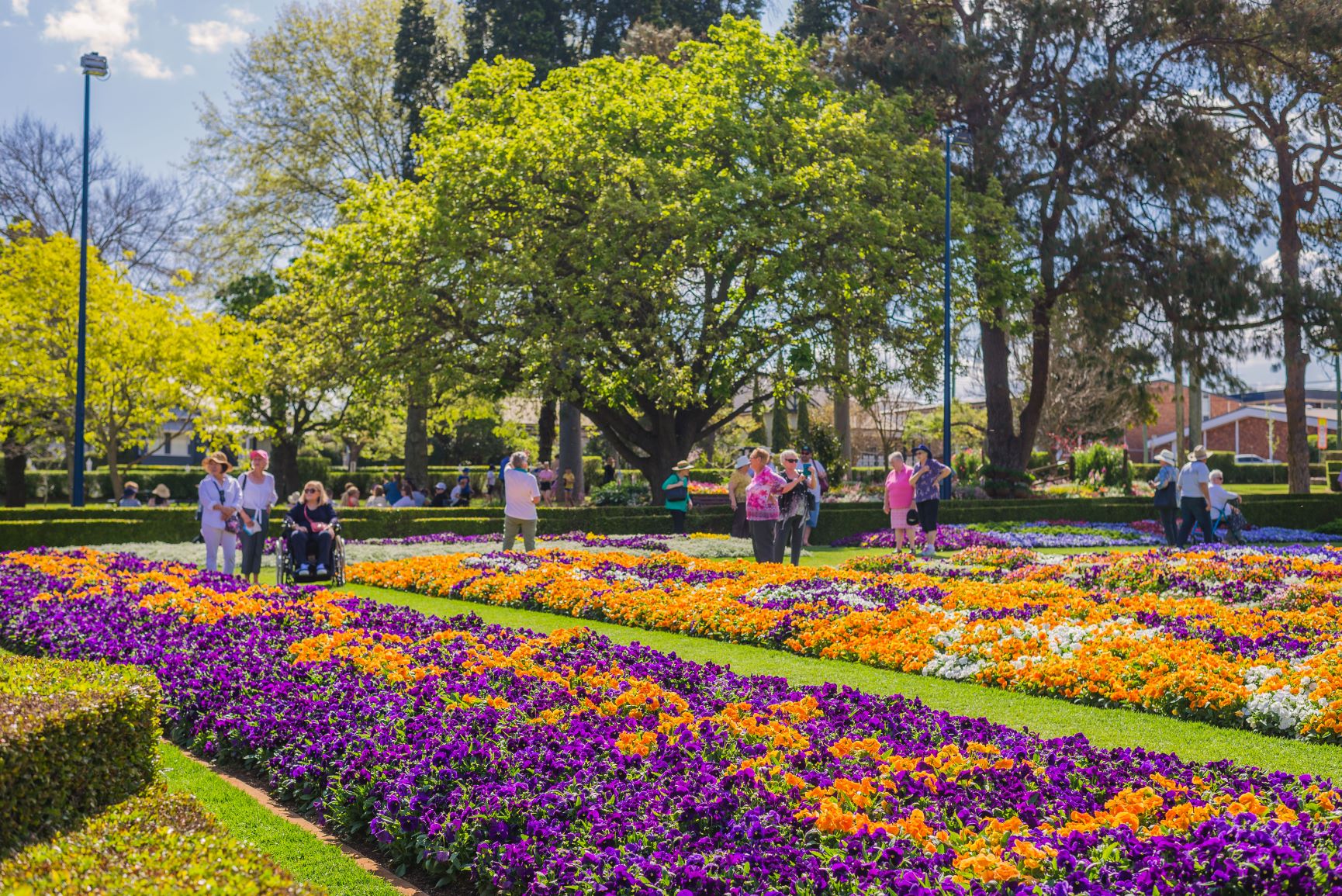 Carnival of flowers 2020 deals