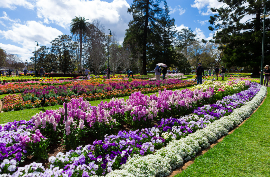 Toowoomba Carnival of Flowers