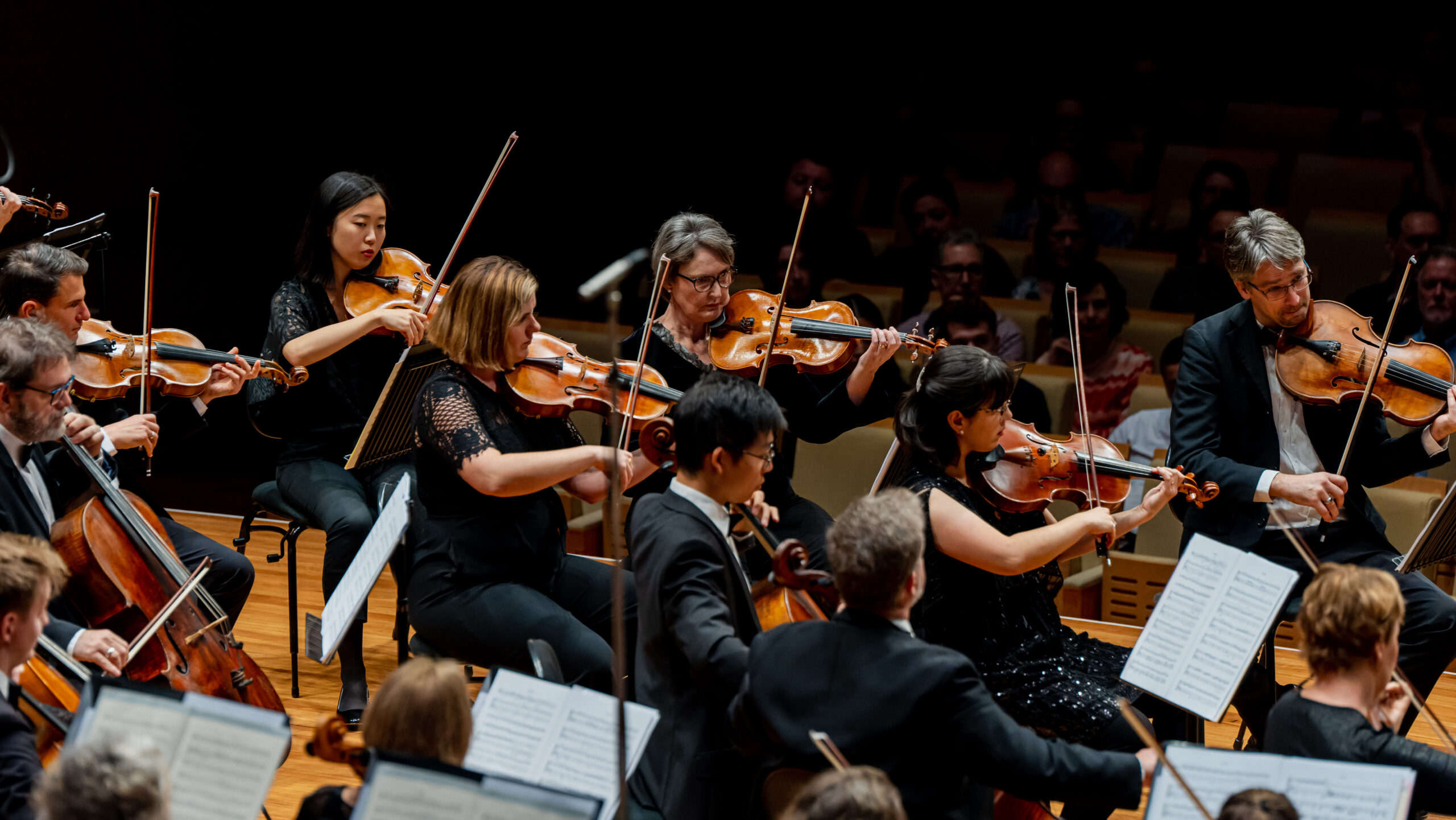 Beethoven and Dvorak - Queensland Symphony Orchestra