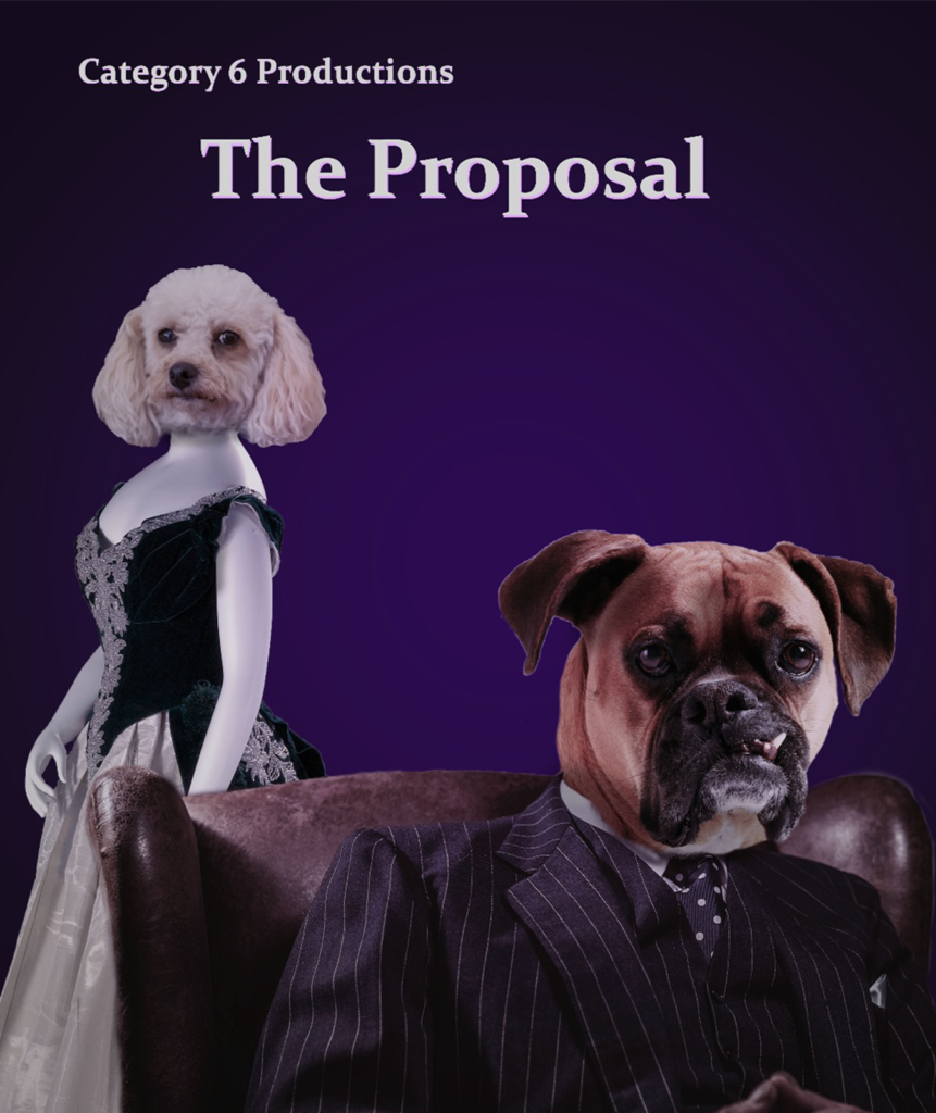 Category 6: The Proposal